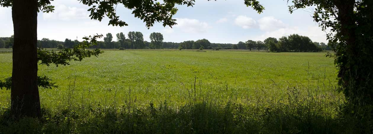 slideshow_1260x453_natur_3997